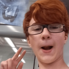 STOP by David LiCalzi